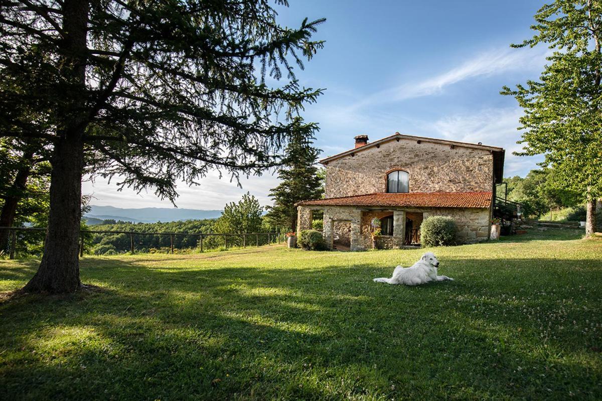 Appartamento PiancasaleMia Londa Esterno foto